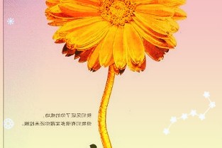 贵州茅台首度披露月度主要经营数据同比增长约20%