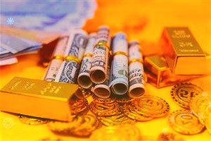 中国医药：风险提示公告